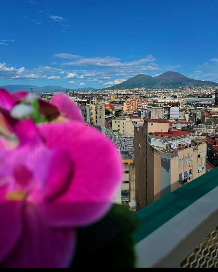 Napoli's Rooftop Bed and breakfast *